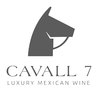 logo cavall 7