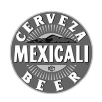 cerveza artesanal